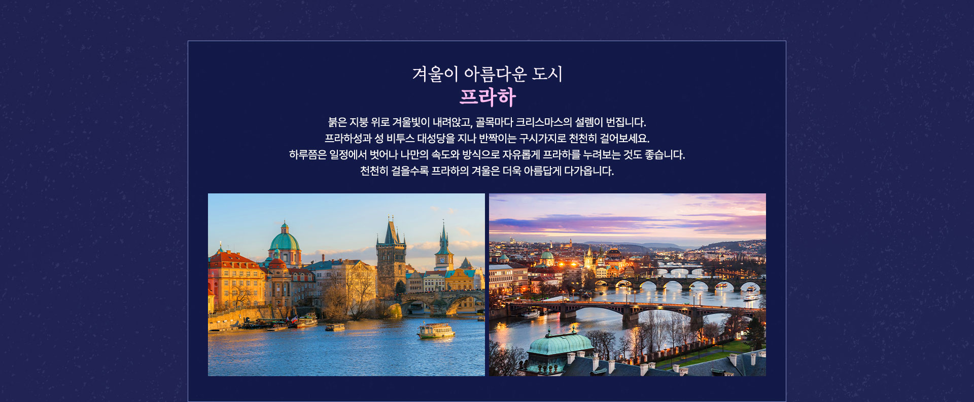 기획전