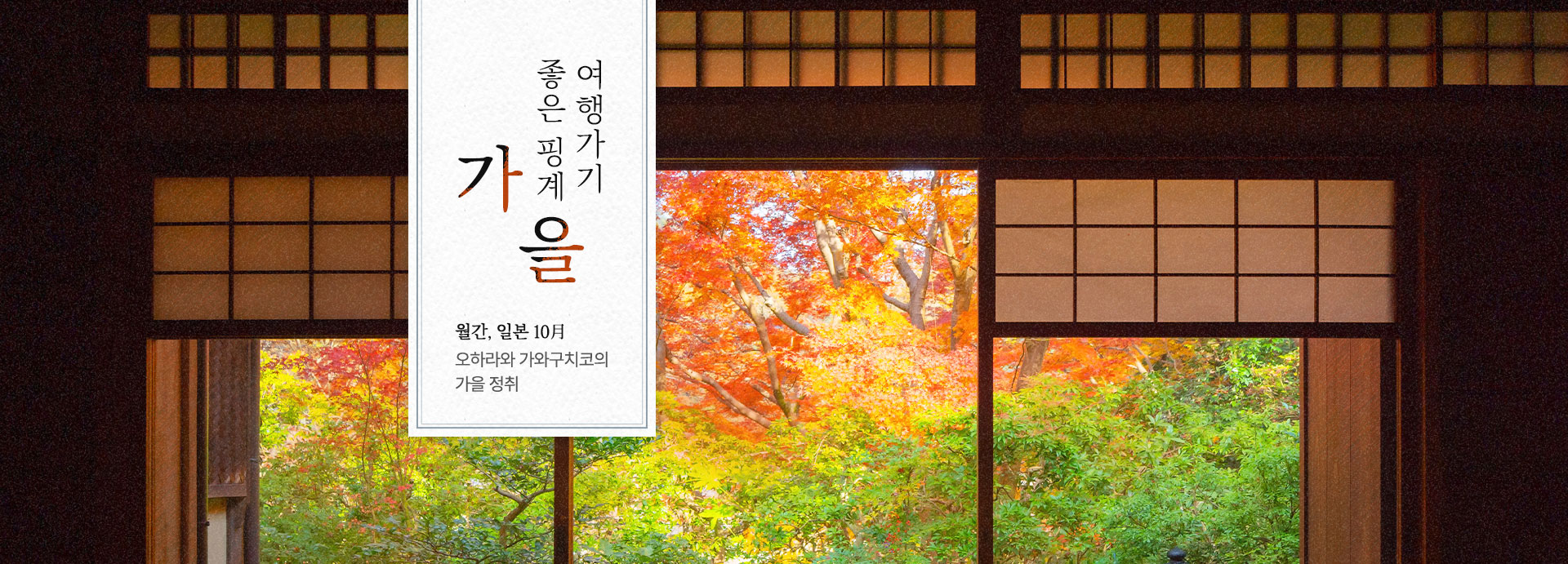 컨텐츠