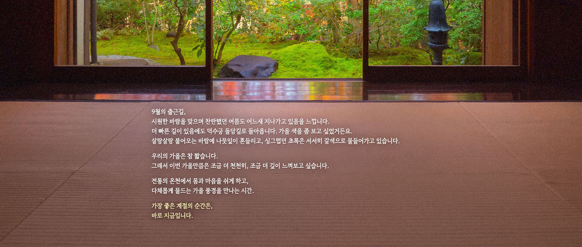 컨텐츠