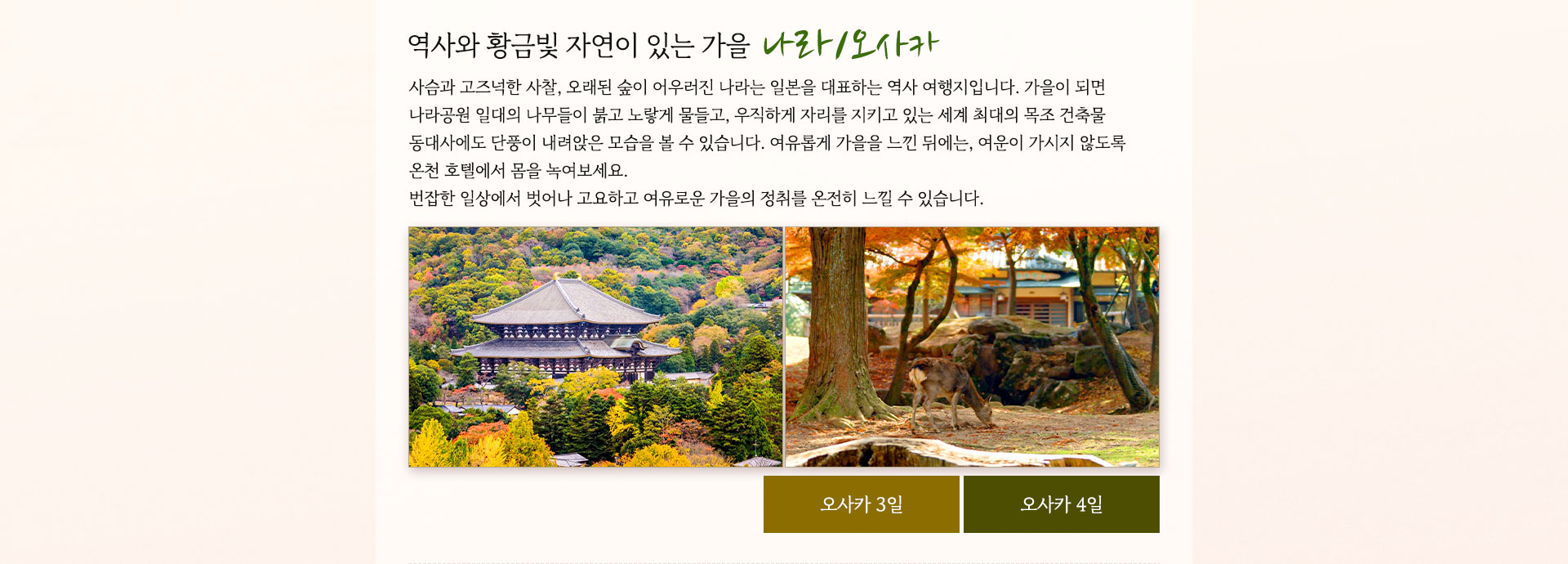컨텐츠
