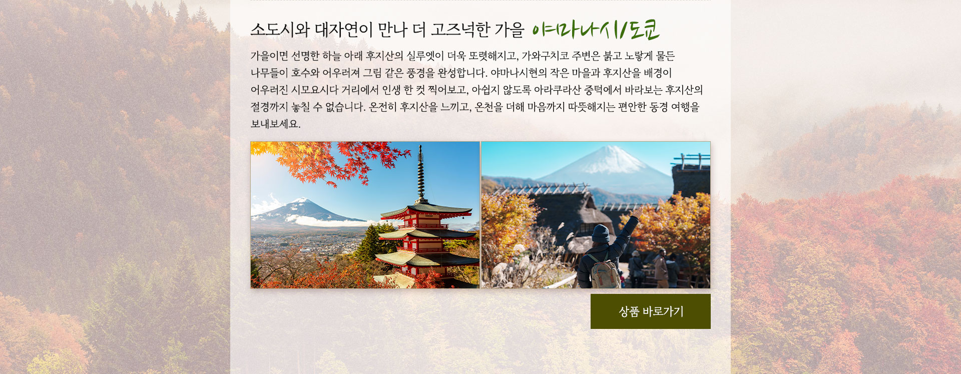 컨텐츠