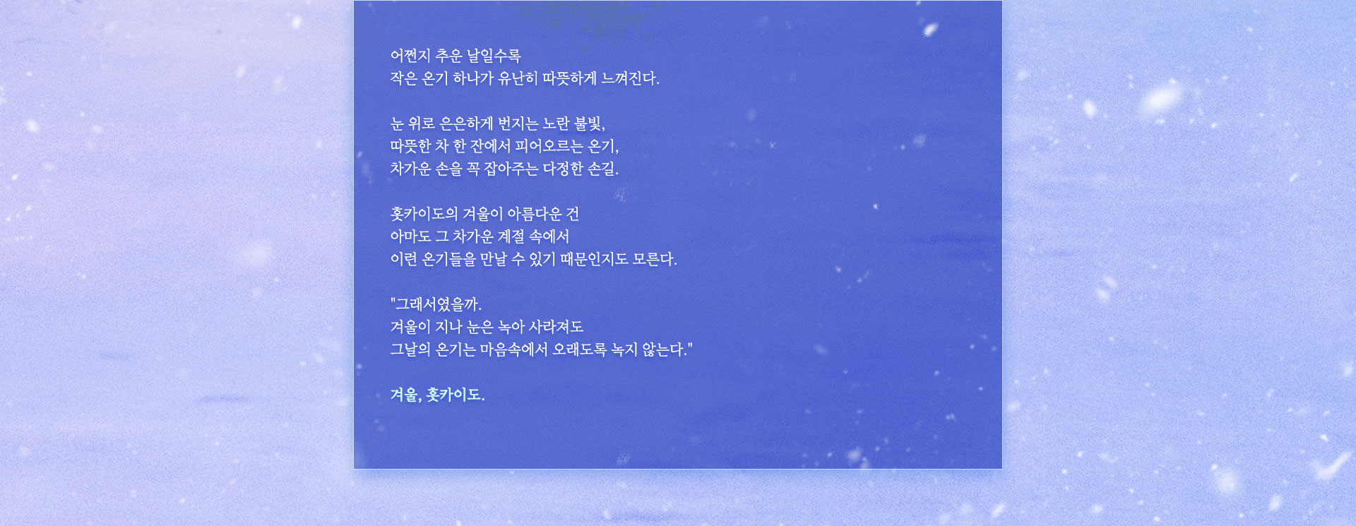 기획전이미지 3
