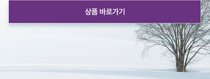 기획전이미지 14