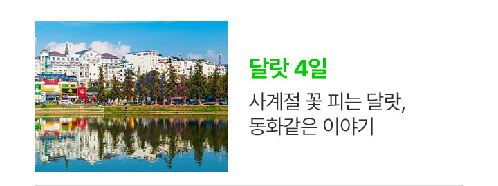 달랏 상품