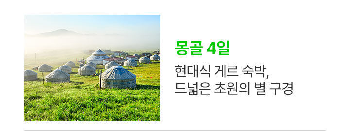 몽골 상품
