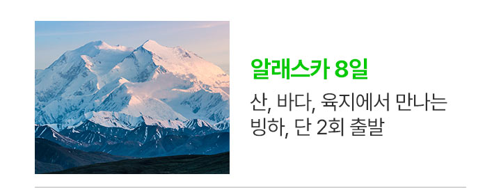알래스카 상품