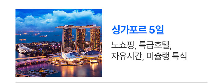 싱가포르 상품