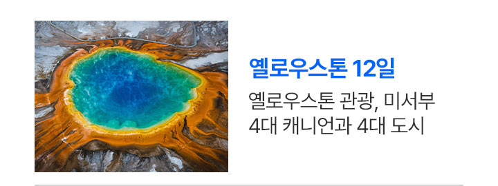옐로우스톤 상품