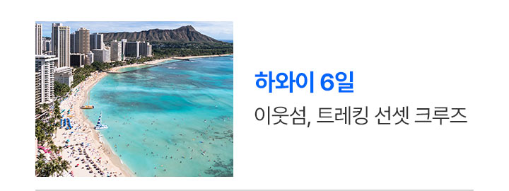 하와이 상품