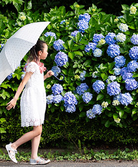 비가 와도 더 좋은 제주