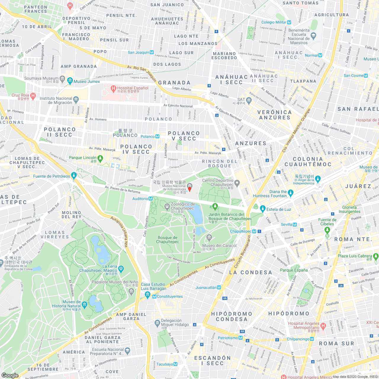 지도 이미지
