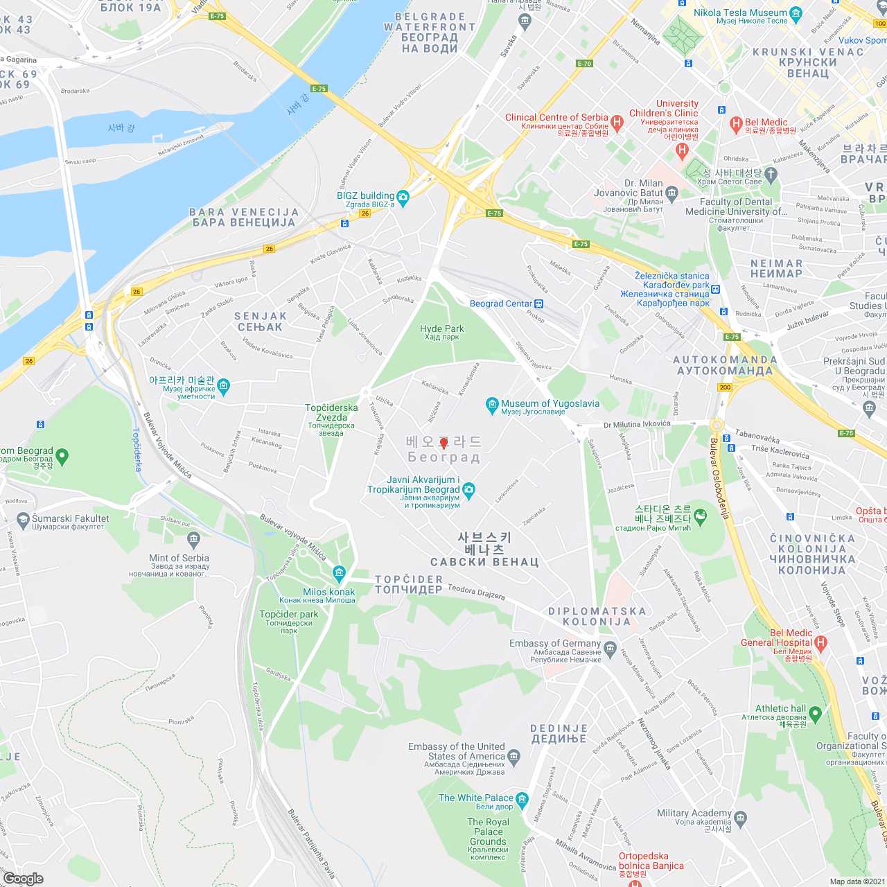 지도 이미지