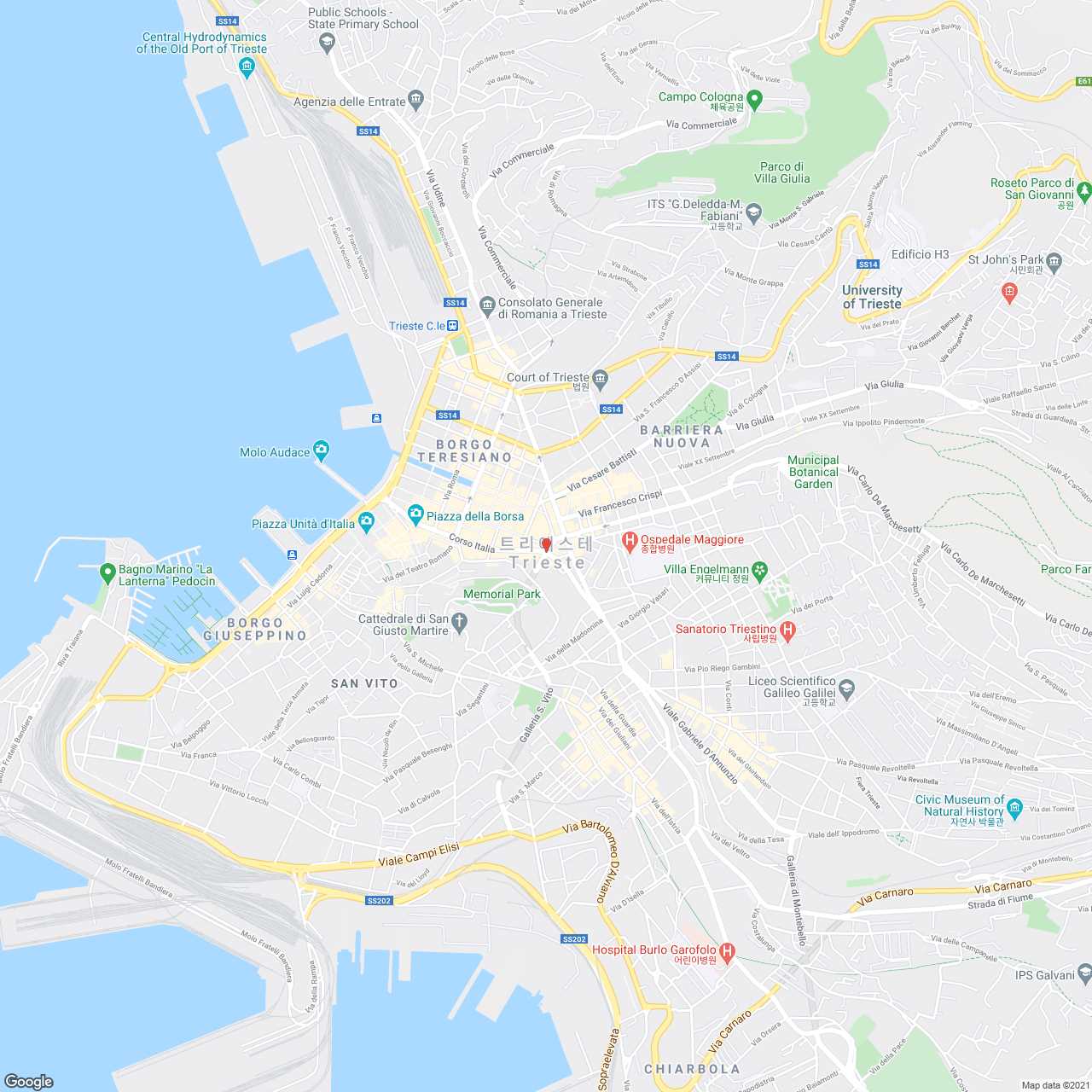 지도 이미지