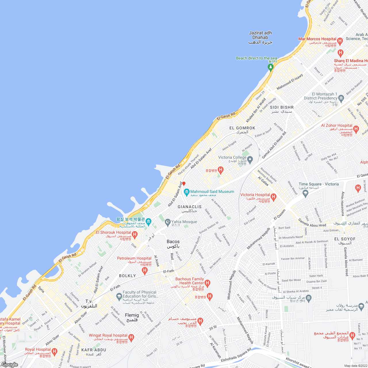 지도 이미지