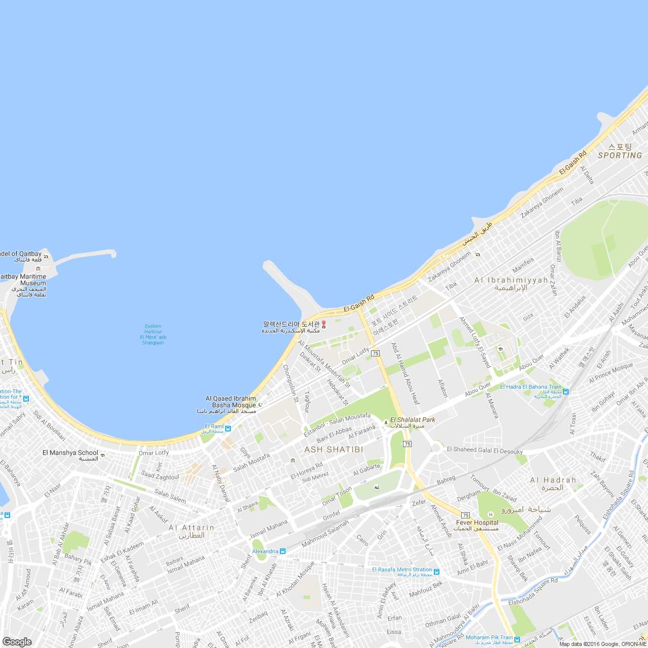 지도 이미지