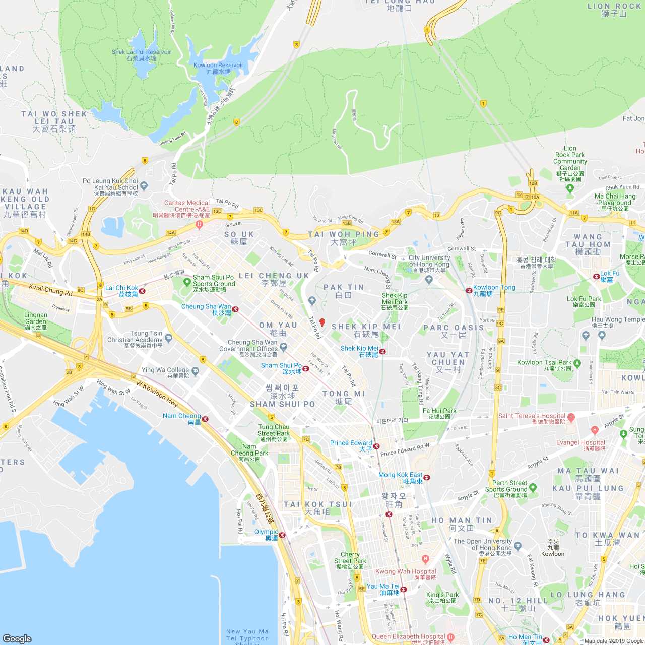 지도 이미지