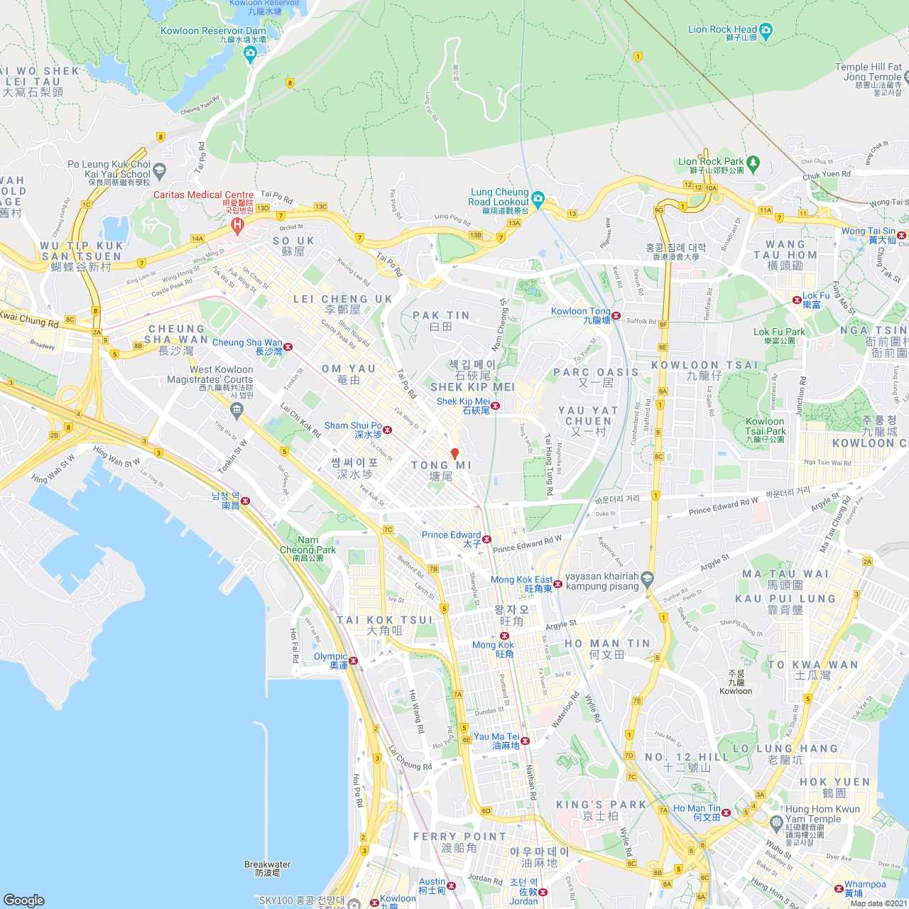 지도 이미지