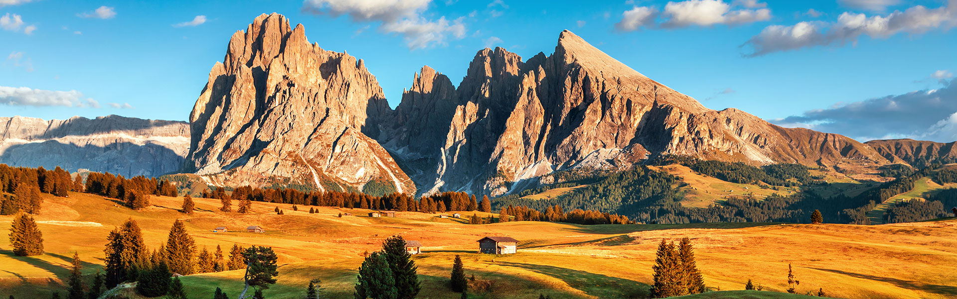 느리게 걷는 미학