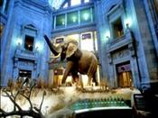 스미소니언박물관