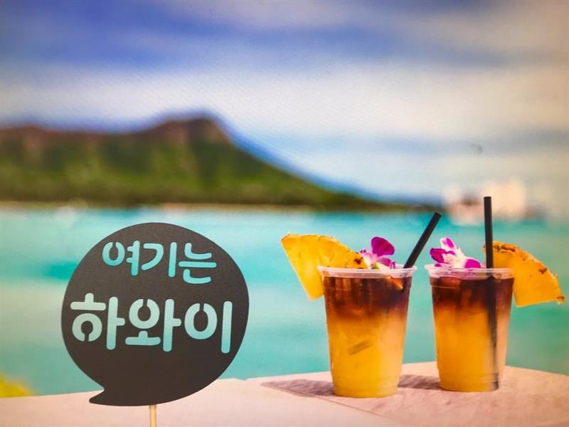 하와이토퍼