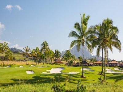 하와이 골프