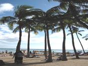 와이키키해변 7