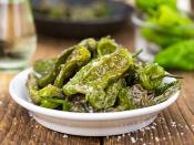 *깔다스 데 레이스(Caldas de Reis) ~ 파드론(Padron) 