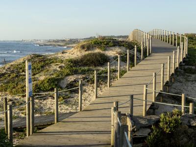 산티아고 순례길