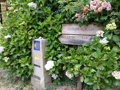 산티아고 순례길