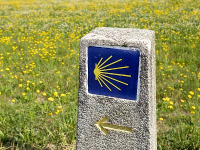 산티아고 순례길