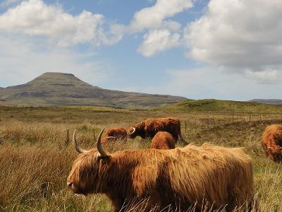 스카이섬-하일랜드