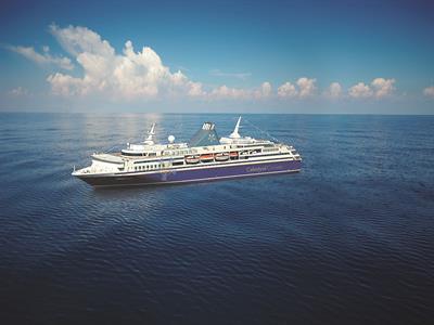 셀레스티얼 크루즈