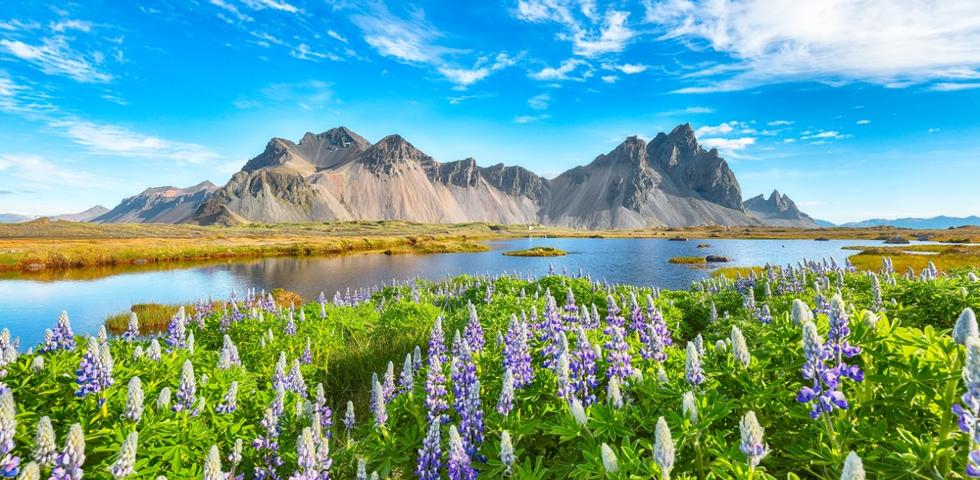 아이슬란드_테마팀