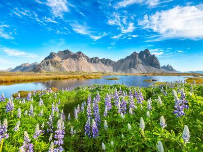 아이슬란드_테마팀