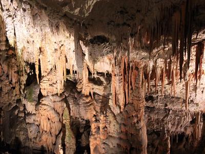 포스토이나 종유동굴 