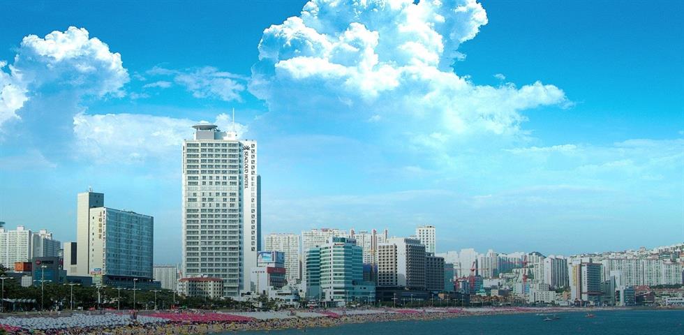 씨클라우드 부산