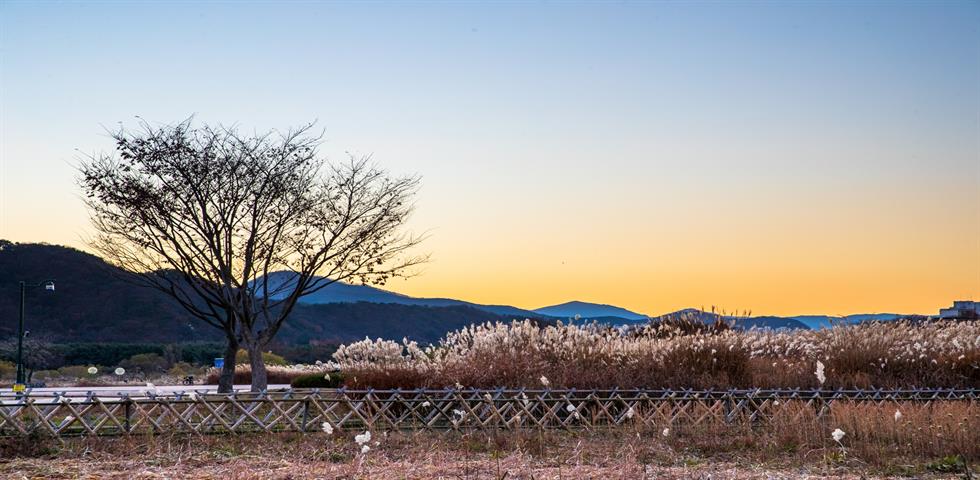 태화강 국가정원