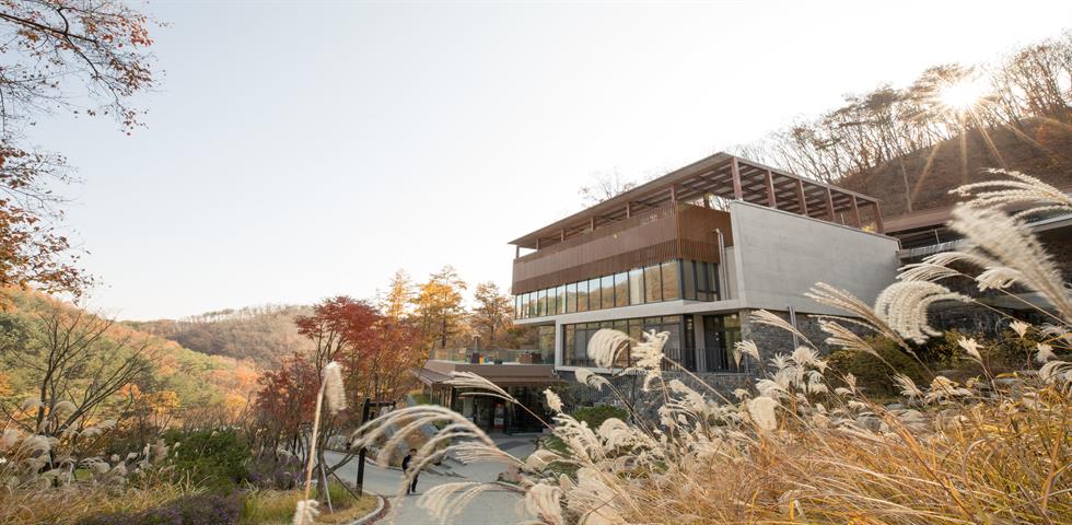 선마을 롤링 (가을)