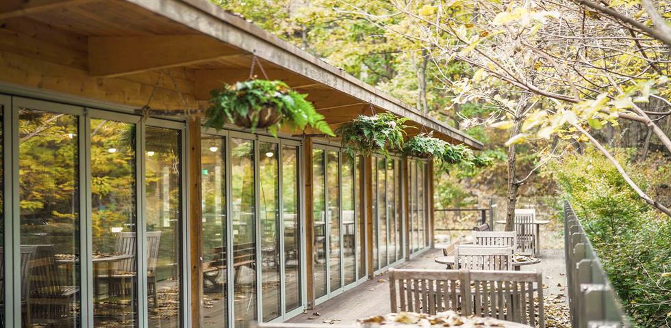 선마을 롤링 (가을)