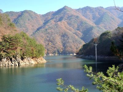 비수구미