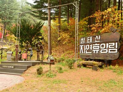 청태산 자연휴양림