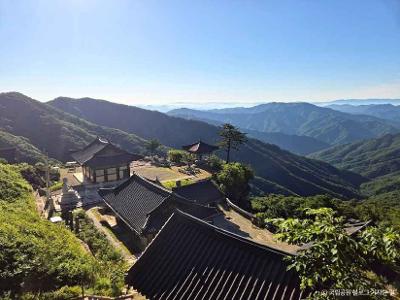 구룡사 황장묵