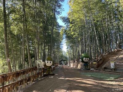 맹종죽테마파크