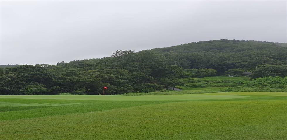 블루윈 상주C.C