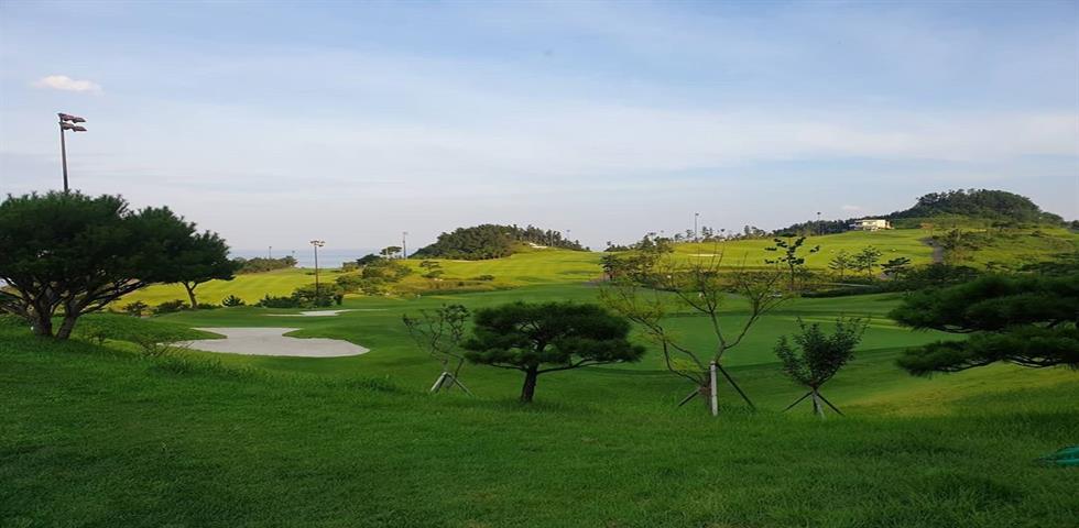 오션비치C.C