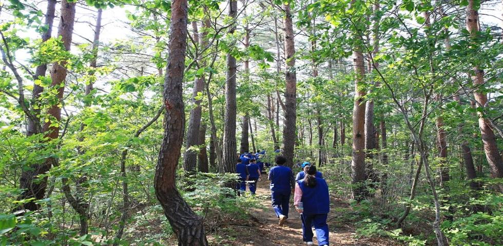 금강송 숲길(자체코스)