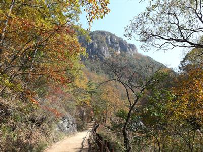 주왕산