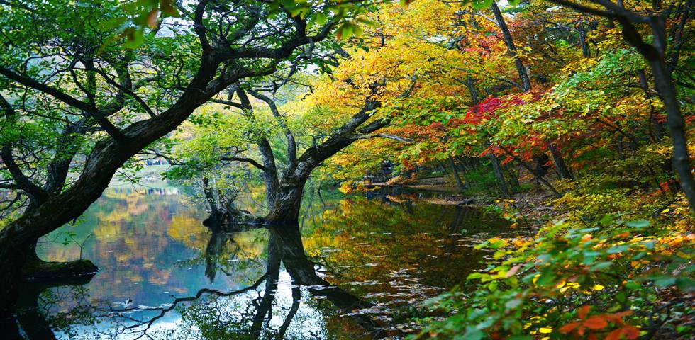 주산지