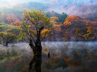 주산지