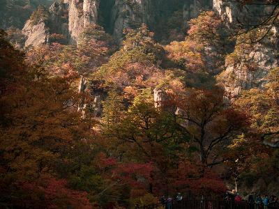 주왕산